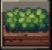 Horizontal Bush Decoration tooltip showing +2 Building Appeal at a cost of 1 Lumber and 1 Stone